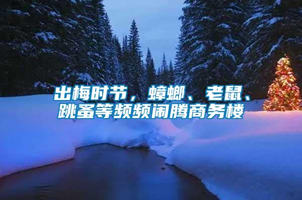 出梅時節(jié)，蟑螂、老鼠、跳蚤等頻頻鬧騰商務(wù)樓
