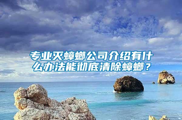 專業(yè)滅蟑螂公司介紹有什么辦法能徹底清除蟑螂？