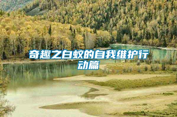 奇趣之白蟻的自我維護行動篇