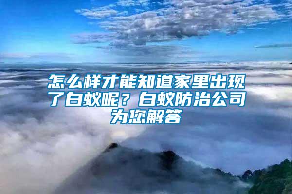 怎么樣才能知道家里出現(xiàn)了白蟻呢？白蟻防治公司為您解答