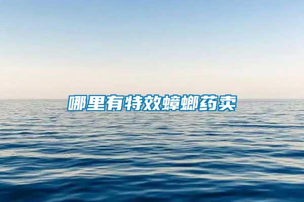 哪里有特效蟑螂藥賣(mài)