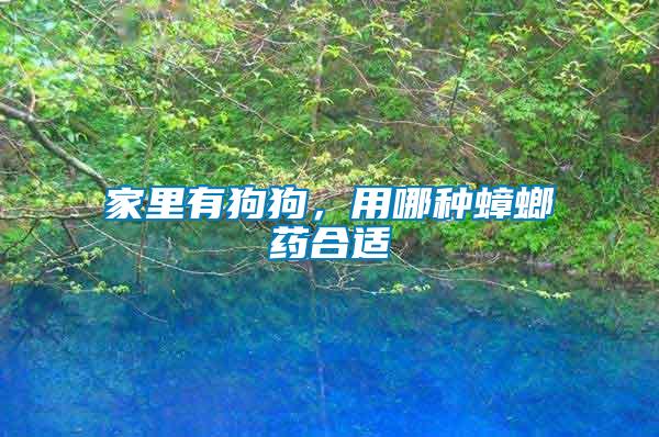 家里有狗狗，用哪種蟑螂藥合適