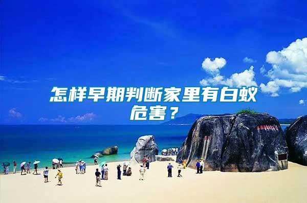 怎樣早期判斷家里有白蟻危害？