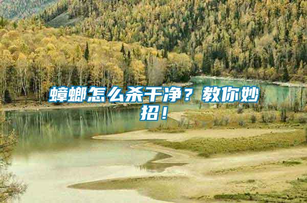 蟑螂怎么殺干凈？教你妙招！