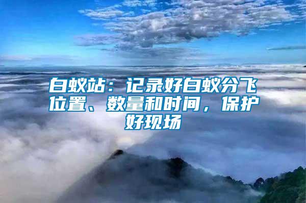 白蟻站：記錄好白蟻分飛位置、數(shù)量和時(shí)間，保護(hù)好現(xiàn)場