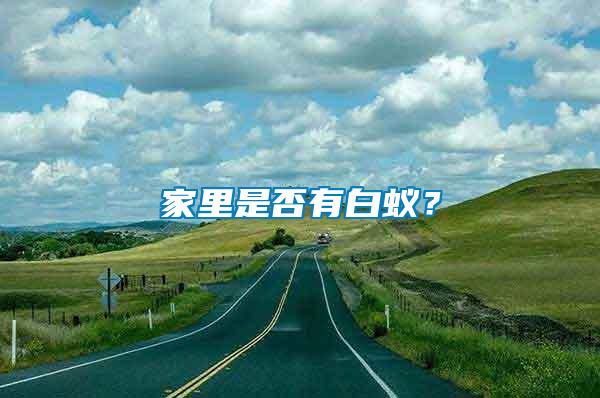 家里是否有白蟻？