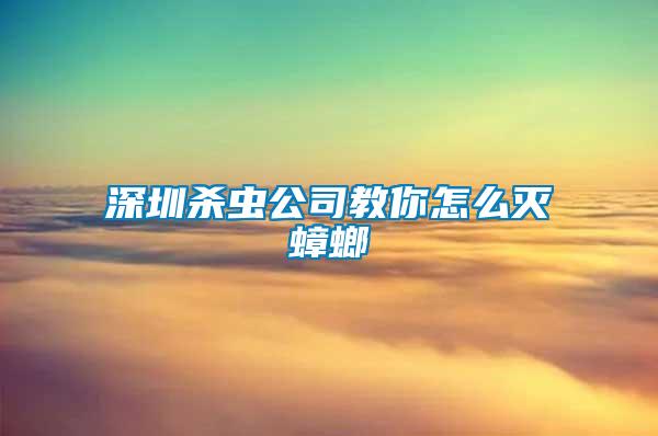深圳殺蟲(chóng)公司教你怎么滅蟑螂