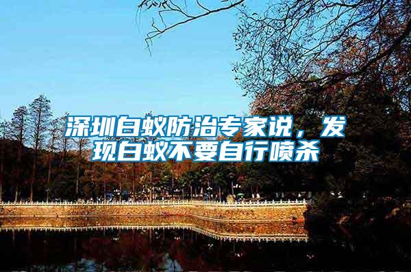深圳白蟻防治專家說，發(fā)現(xiàn)白蟻不要自行噴殺