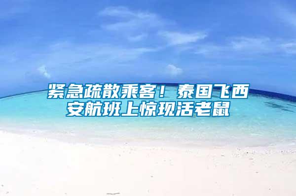緊急疏散乘客！泰國(guó)飛西安航班上驚現(xiàn)活老鼠