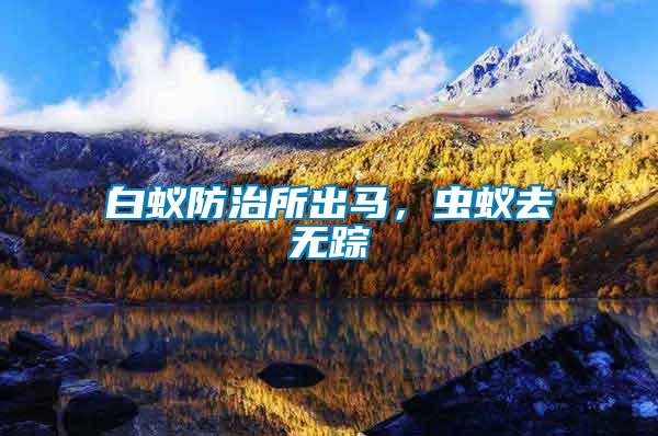 白蟻防治所出馬，蟲蟻去無蹤