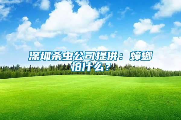 深圳殺蟲公司提供：蟑螂怕什么？