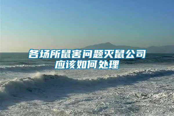 各場(chǎng)所鼠害問題滅鼠公司應(yīng)該如何處理