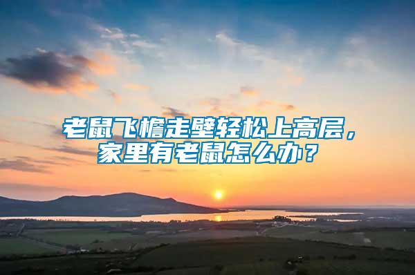 老鼠飛檐走壁輕松上高層，家里有老鼠怎么辦？