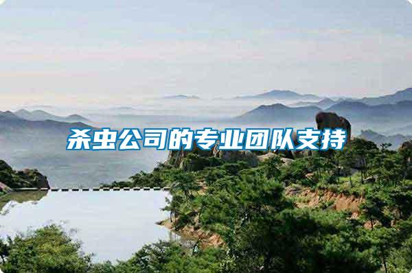 殺蟲公司的專業(yè)團(tuán)隊支持