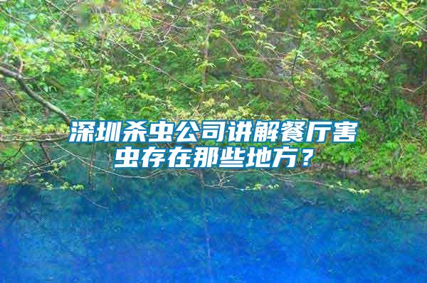 深圳殺蟲公司講解餐廳害蟲存在那些地方？