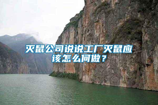 滅鼠公司說說工廠滅鼠應(yīng)該怎么何做？