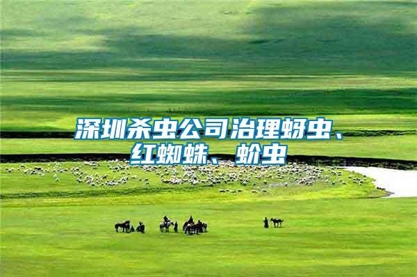 深圳殺蟲公司治理蚜蟲、紅蜘蛛、蚧蟲