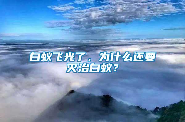 白蟻飛光了，為什么還要滅治白蟻？