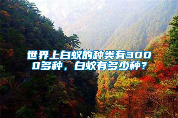 世界上白蟻的種類有3000多種，白蟻有多少種？