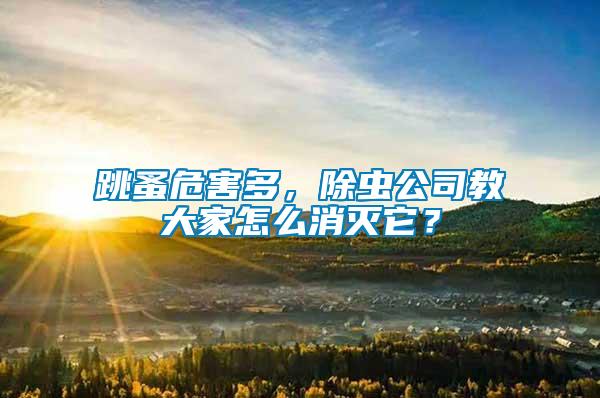 跳蚤危害多，除蟲公司教大家怎么消滅它？