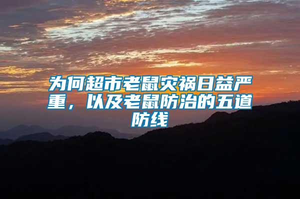 為何超市老鼠災(zāi)禍日益嚴(yán)重，以及老鼠防治的五道防線