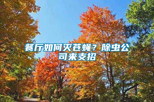 餐廳如何滅蒼蠅？除蟲(chóng)公司來(lái)支招