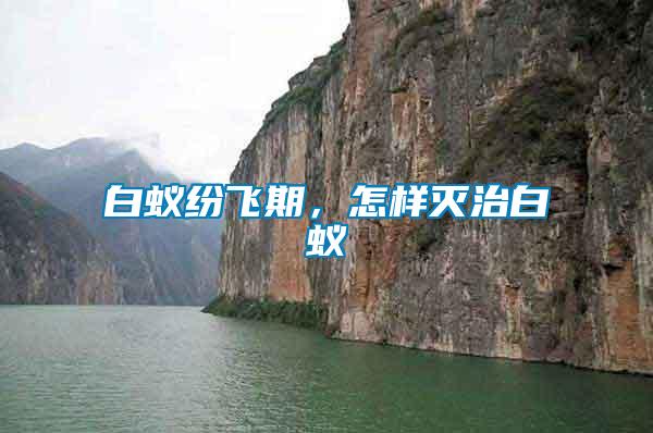 白蟻紛飛期，怎樣滅治白蟻