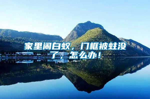 家里鬧白蟻，門框被蛀沒了，怎么辦！