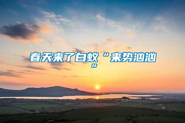 春天來(lái)了白蟻“來(lái)勢(shì)洶洶”