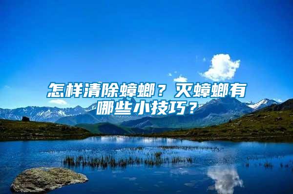 怎樣清除蟑螂？滅蟑螂有哪些小技巧？
