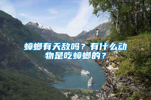蟑螂有天敵嗎？有什么動(dòng)物是吃蟑螂的？