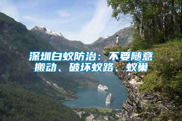 深圳白蟻防治：不要隨意搬動、破壞蟻路、蟻巢