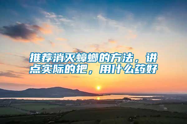推薦消滅蟑螂的方法，講點(diǎn)實(shí)際的把，用什么藥好