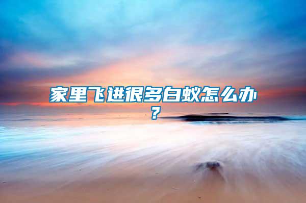 家里飛進(jìn)很多白蟻怎么辦？