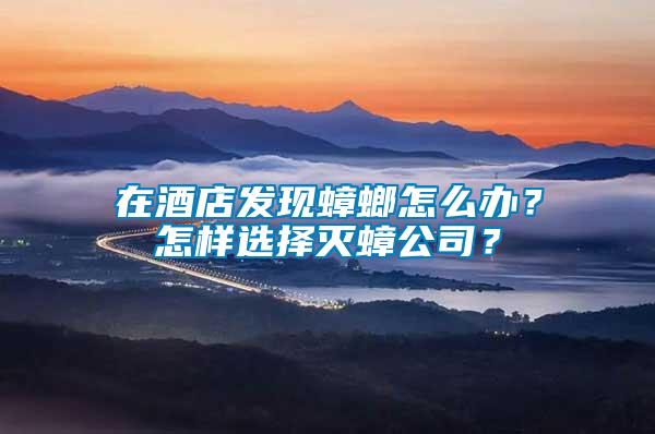 在酒店發(fā)現(xiàn)蟑螂怎么辦？怎樣選擇滅蟑公司？