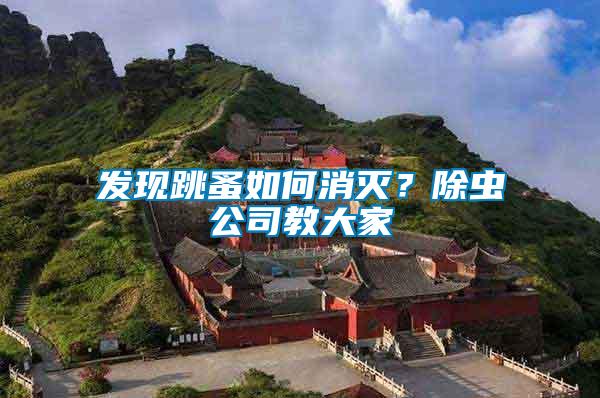 發(fā)現(xiàn)跳蚤如何消滅？除蟲(chóng)公司教大家