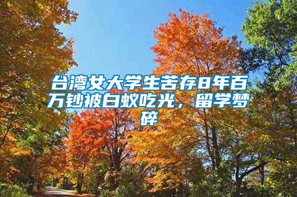 臺(tái)灣女大學(xué)生苦存8年百萬(wàn)鈔被白蟻吃光，留學(xué)夢(mèng)碎