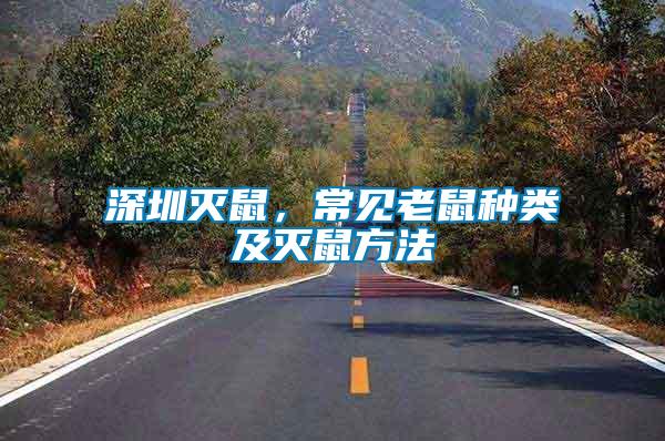 深圳滅鼠，常見老鼠種類及滅鼠方法