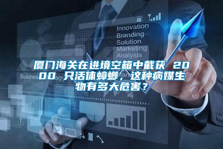 廈門海關(guān)在進(jìn)境空箱中截獲 2000 只活體蟑螂，這種病媒生物有多大危害？