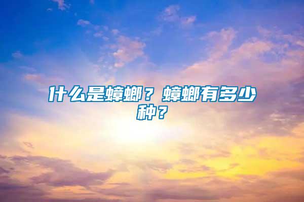 什么是蟑螂？蟑螂有多少種？