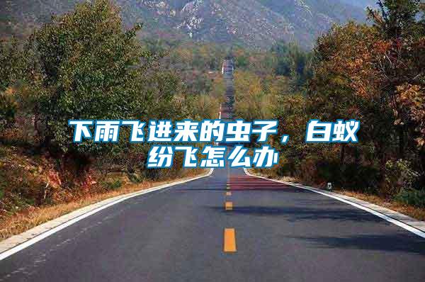 下雨飛進(jìn)來的蟲子，白蟻紛飛怎么辦