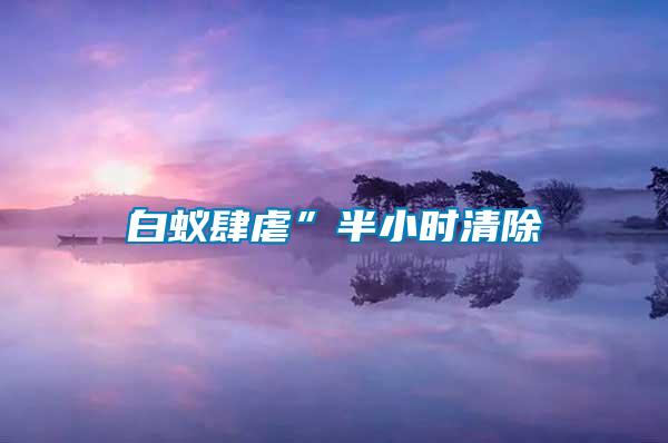 白蟻肆虐”半小時(shí)清除