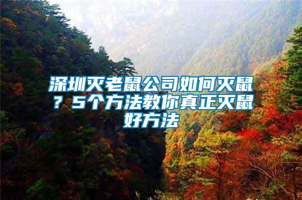 深圳滅老鼠公司如何滅鼠？5個方法教你真正滅鼠好方法