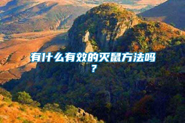 有什么有效的滅鼠方法嗎？