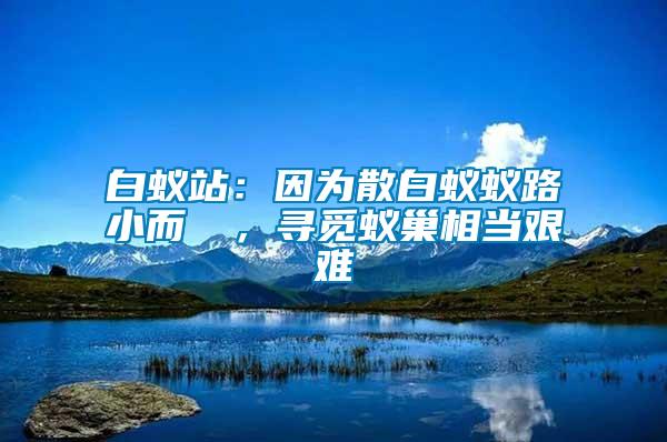 白蟻站：因?yàn)樯紫佅伮沸《]骳，尋覓蟻巢相當(dāng)艱難