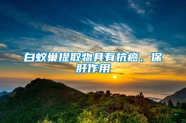 白蟻巢提取物具有抗癌、保肝作用