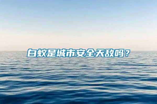 白蟻是城市安全天敵嗎？