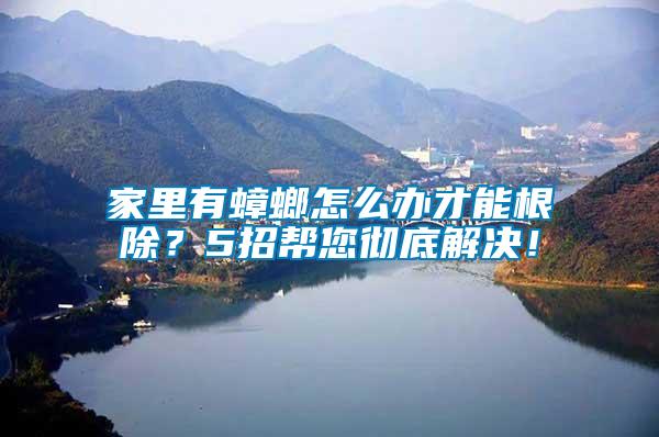 家里有蟑螂怎么辦才能根除？5招幫您徹底解決！