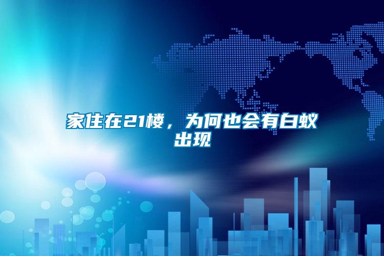 家住在21樓，為何也會(huì)有白蟻出現(xiàn)