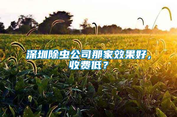 深圳除蟲公司那家效果好，收費(fèi)低？